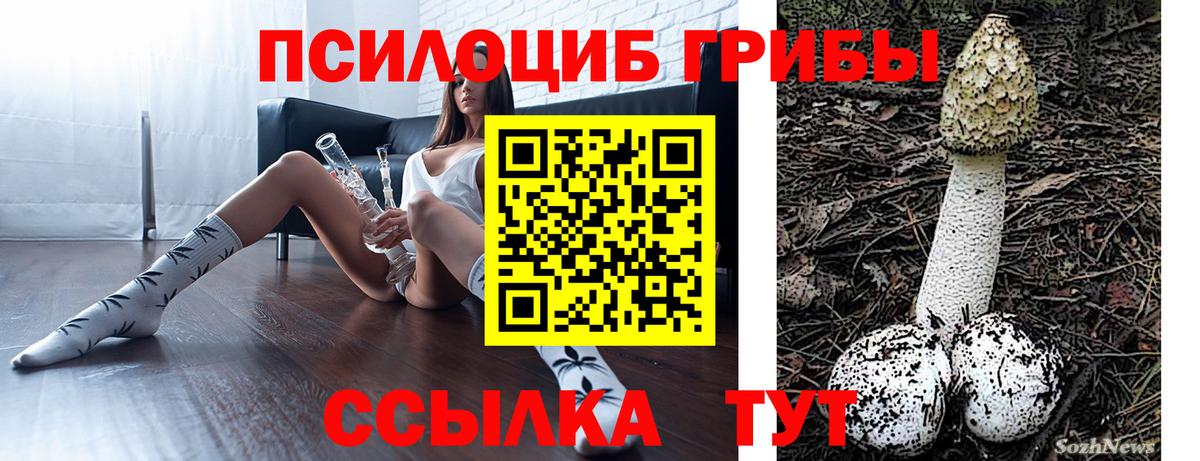 Арзамас  Галлюциногенные грибы мицелий  Вход с VPN  Псилоцибиновые грибы мухоморы 