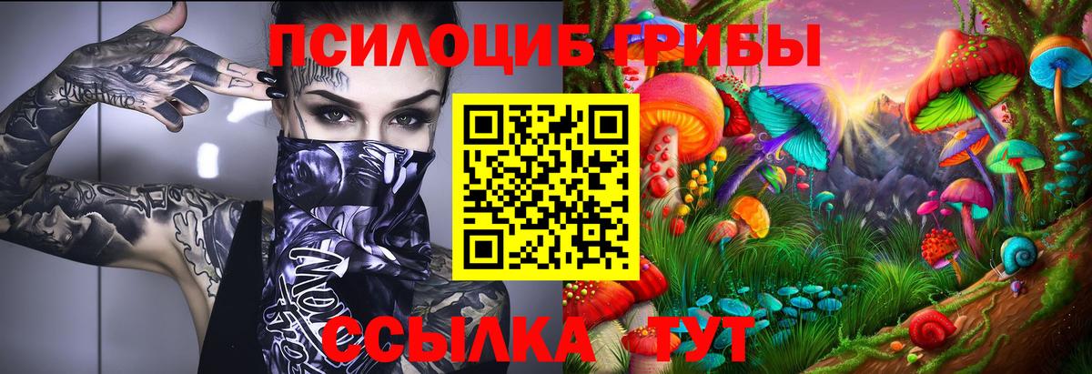 Галлюциногенные грибы Psilocybe Арзамас